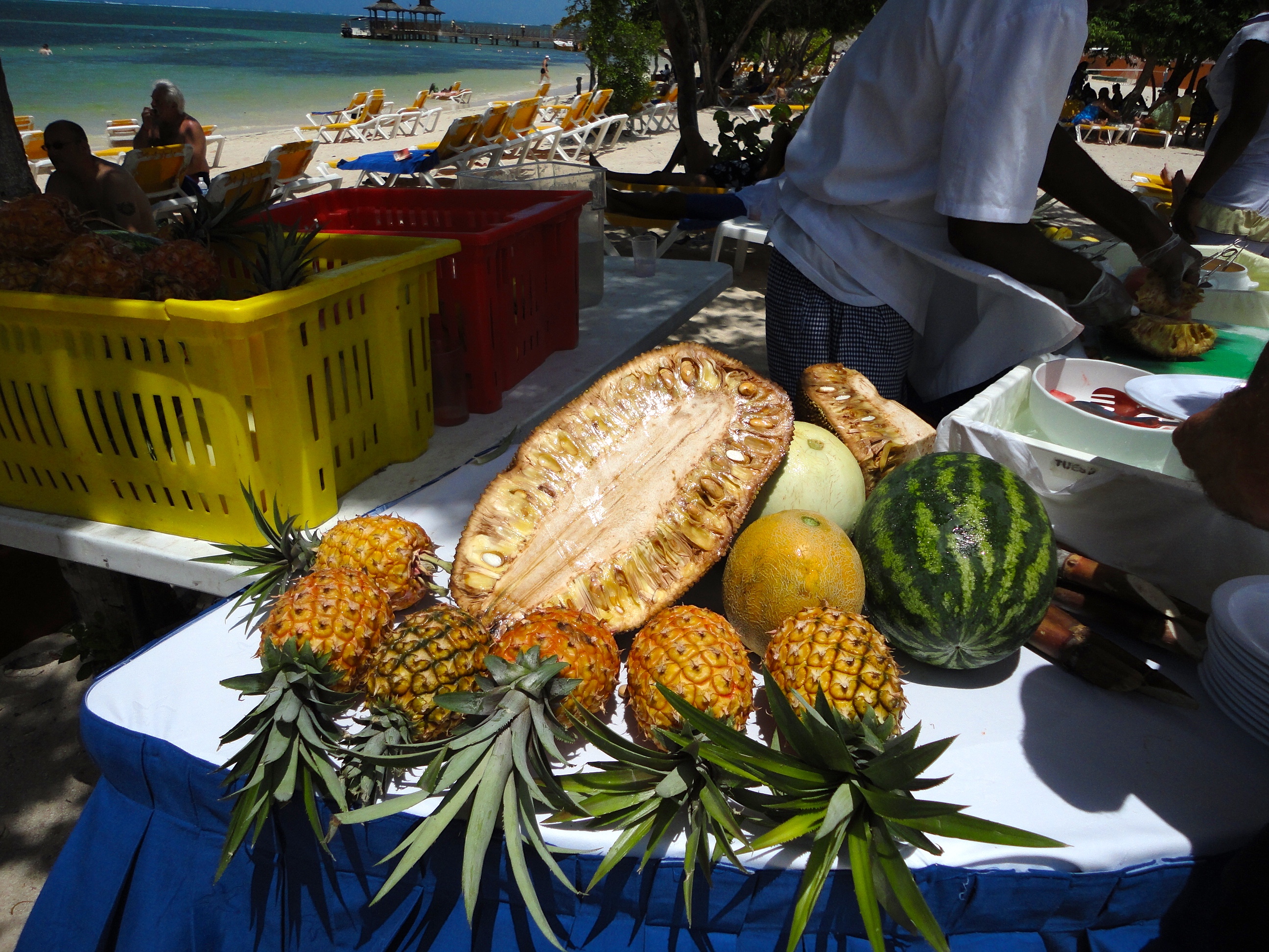 Montego Bay, Jamaica 2010 – Persuasive Peruvian